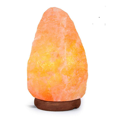 Revolution Himalayan Natural Salt Lamp 2-4kg Single