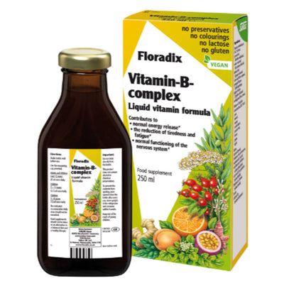 Salus Floradix Vitamin-B-Complex 250ml