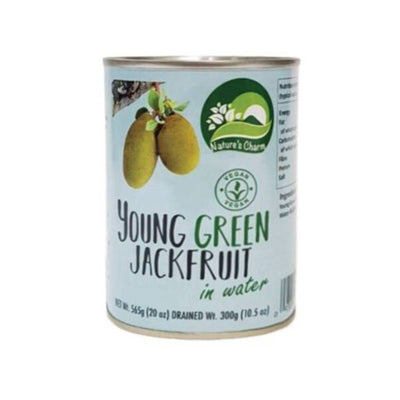Natures Charm Young Green Jackfruit In Water 565g