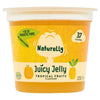 Naturelly Jelly Pot & Prebiotic Fibre - Tropical Fruit 120g x 12