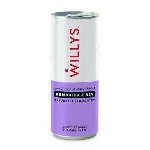 Willys Sparkling Blackcurrant Kombucha & ACV Drink 250ml x 12